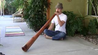 "Gathering Spirits" Alder Didgeridoo by Shane McCaslin