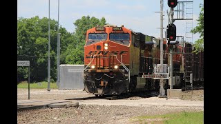 Oil Train, Manifest, and Yet Again Another Grain Train In Gainesville, TX!