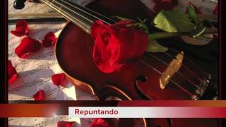 Armando Pontier - Instrumental /A tus pies bailarín - Repuntando - Zorro gris