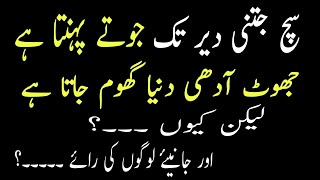 سیانیاں دییاں گالاں beautiful saying in urdu