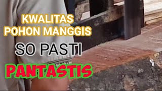 TERNYATA POHON MANGGIS KUALITASNYA BAGUS