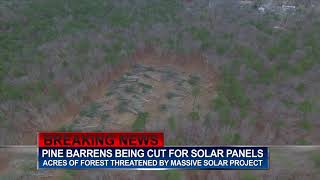 BREAKING NEWS: Pine Barrens Cut for Solar Panels