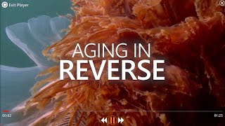 BEYOND BLUE - AGING IN REVERSE