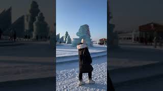 Ice Festival Harbin 2020