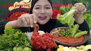 LALAPAN JENGKOL SAMBEL TERASI||AYAM GORENG SAMBEL PENYET||MAKANAN SUNDA MUKBANG INDONESIA