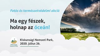 Kiskunsági Nemzeti Park - Ma egy fészek, holnap az óceán! - 2020