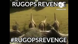 Rugops Revenge