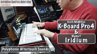 Keith McMillen K Board Pro4 & Waldorf Iridium