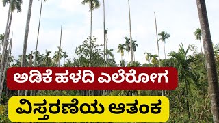 ಅಡಿಕೆ ಹಳದಿ ಎಲೆರೋಗ ವಿಸ್ತರಣೆಯ ಆತಂಕ |