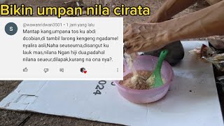 umpan nila cirata/umpan geleng