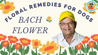 Transform Your Dog's Life with Bach Flower Remedies! 🌸🐾