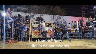 hombre gato de destructores con tildillo de san andres  en tejalpa morelos  2023