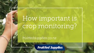 Crop Monitoring | The Importance | Fruitfed Supplies