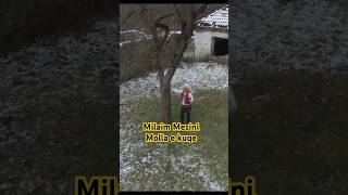 Milaim Mezini - Molla e kuqe #shorts #viral #subscribe