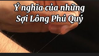 Ý nghĩa của những “Sợi Lông Phú Quý” trên cơ thể @tuphuthandien