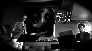 Triosonata BWV 525 by J.S. Bach • D. Merlin & E. Schmied