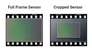 Full Sensor vs. Crop Sensor | Shanks FX | PBS Digital Studios