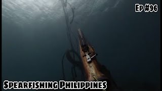 Ep #96 Another grouper fish hunting | Daydive | Spearfishing Philippines | Dalaguete Spearo Vlog