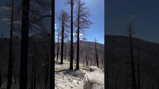 Amazing view at Armstrong Connector Trail,📍South Lake Tahoe #mtb #emtb #trails #gopromtb