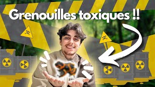 Je reçois des grenouilles toxiques !! (elles sont magnifiques !!)