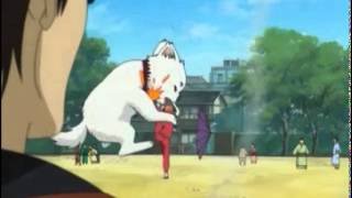 Gintama siddaharu funny kick