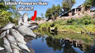 MANCING PAKAI TEHNIK TER MUDAH DAN DIJAMIN DAPET BANYAK IKAN ‼️Mancing bader pakai uler kandang