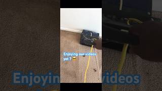 We Tested Professional Carpet Cleaning Methods