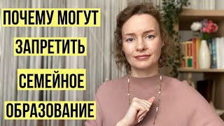 4 причины, почему могут запретить семейное образование 🔥