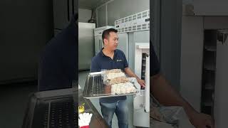 blast freezer for meat ,how long does freezing the meatball?(quick freezing for meat )2023