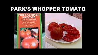 PARK'S WHOPPER TOMATO