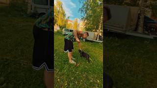 Сальто с собакеном #sport #parkour #акробатика #юмор #magic #паркур #сальто #популярное #humor #рек