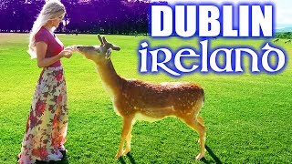 The 6 Best Things You Need to Do in Dublin Ireland (That Aren't Drinking). Vacation Travel Guide