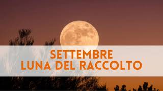 Meditazione di luna piena - Luna del Raccolto