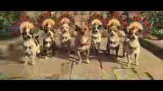 Beverly Hills Chihuahua Trailer