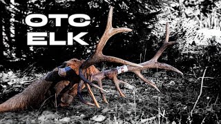 THE DIFFERENCE | RIFLE OTC ELK HUNT 2024