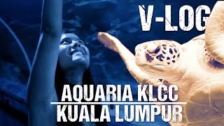 Malaysia Vlog in der Unterwasserwelt AQUARIA KLCC Kuala Lumpur