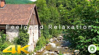 Relaxing Video of a beautiful watermill in Black Forest