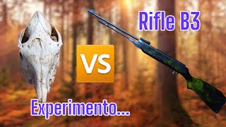 Prueva del rifle B3-3 contra cráneo de caballo + cañonazo.