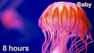 ☆ 8 HOURS ☆ Relaxing JELLYFISH ☆ UNDERWATER Sounds with MUSIC ♫ Relaxing Sleep Music, Stress Relief