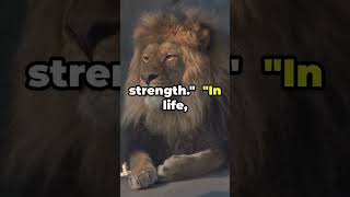 LION MINDSET: Unleash Your Inner Strength