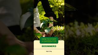 How to start a garden for beginners                               #agriculture #garden #beginners