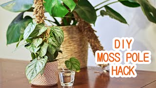 Rot-proof, Extendable, Cheap, Self-watering Moss Pole DIY Hack