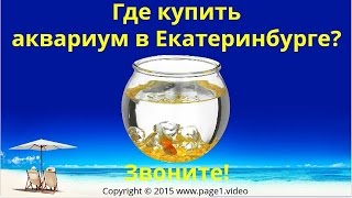 Купить аквариум Екатеринбург