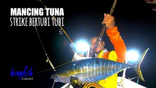 LUAR BIASA ! STRIKE TUNA BERTUBI TUBI - REEL SAMPAI AMBROLL