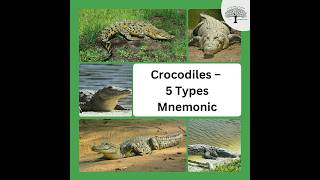 🐊  Crocodiles- 5 Types Mnemonic (SAND Marsh)