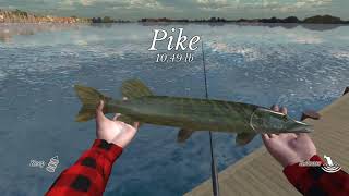 Mancing ikan diatas 4 kgk // ultimate fishing simulator