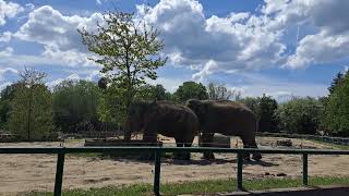 Ogród Zoologiczny na Śląsku #Weekend majowy 2024