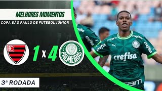 MELHORES MOMENTOS - PALMEIRAS 4 X 1 OESTE - COPINHA 2024