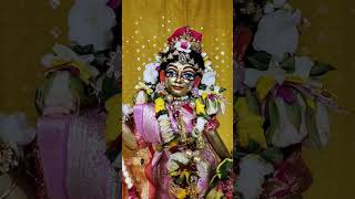 Daily Wonderful Radha Madhava Darshan #isckon #wonderful #radhakrishna #darshan #Radha_Madhav #isk