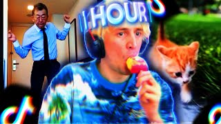 1 Hour Of TikToks Brought To You By xQc - xQc Reacts To 1 Hour of TikToks